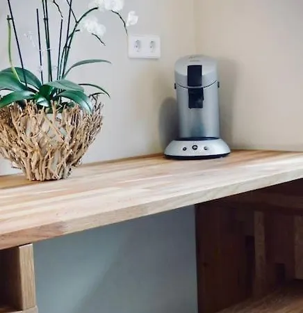 Apartment Dahner-felsenland *