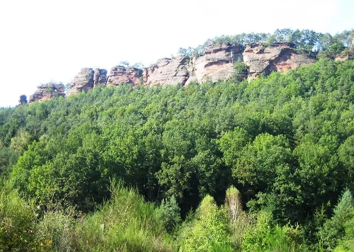 Dahner-felsenland * Dahn